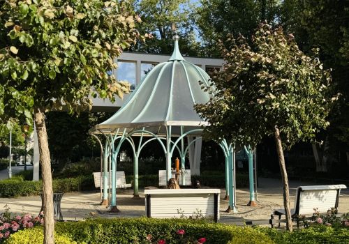 Zdjęcie grzybka solankowego przed Zakładem Balneologicznym