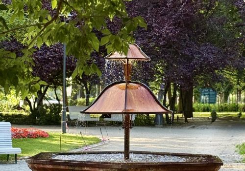 Zdjęcie tzw. grzybka solankowego w Parku im. Marii i Lecha Kaczyńskich.