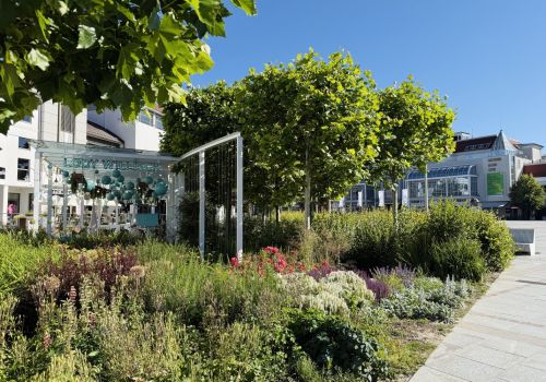 Zdjęcie pogrążonej w zieleni letniej kawiarni na Placu Przyjaciół Sopotu