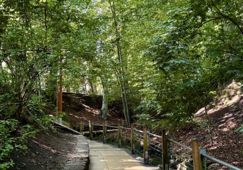 N zdjęciu urokliwy wąwóz z Potokiem Elizy, wchodzący w skład dawnej rezydencji Herbstów w Sopocie wchodził