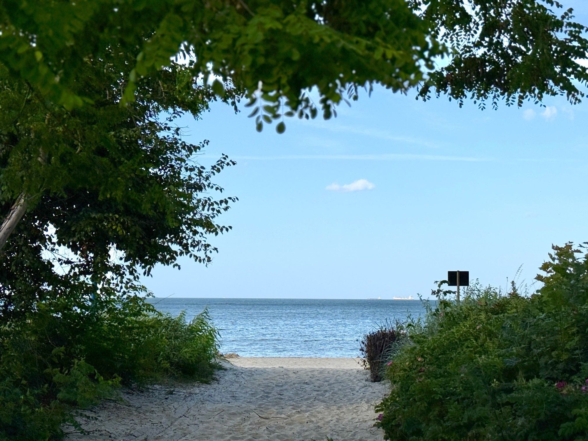 Zdjęcie wejścia na plażę z widokiem na morze i niebo obramowane krzewami.